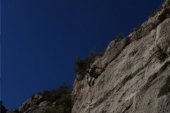 Mark Reeves sports climbing in Alcalali, a classic venue with amazing routes from 4 to 7a.