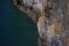 A climber (in Blue) tackles the classic Resolution Direct on Gogarth Main Cliff a classic E2.